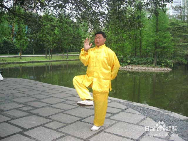 108式杨氏太极拳教程