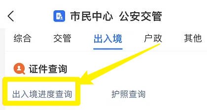 支付宝上怎么查询出入境进度