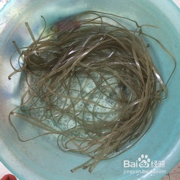 家常菜：[3]猪肉（五花肉）炖粉条