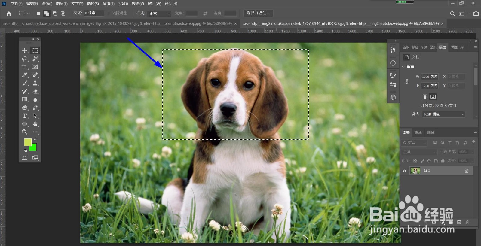 PS怎么设置选区反选？