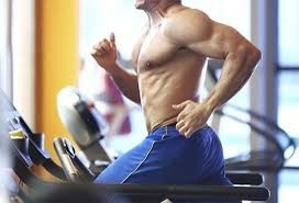 经常健身肌肉恢复如何补充维生素E