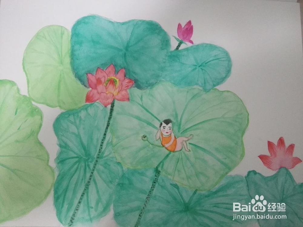 水彩画经验分享之荷花宝宝