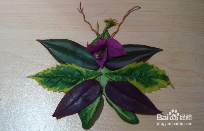 <b>植物艺术画拼装漂亮的甲壳虫</b>