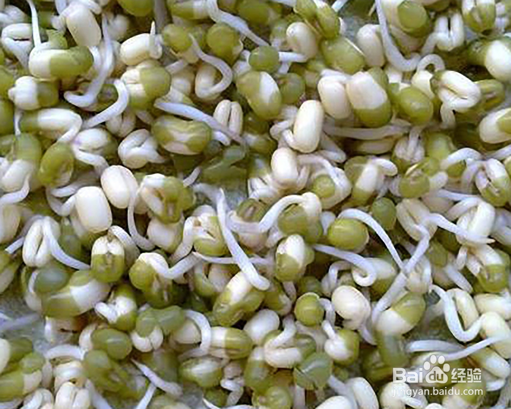 衣服发霉了？来看看解决办法