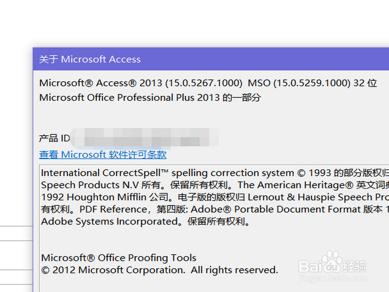 Access怎么查看版本信息