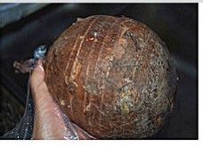 酸甜好吃的番茄红烩芋头鸡肉块