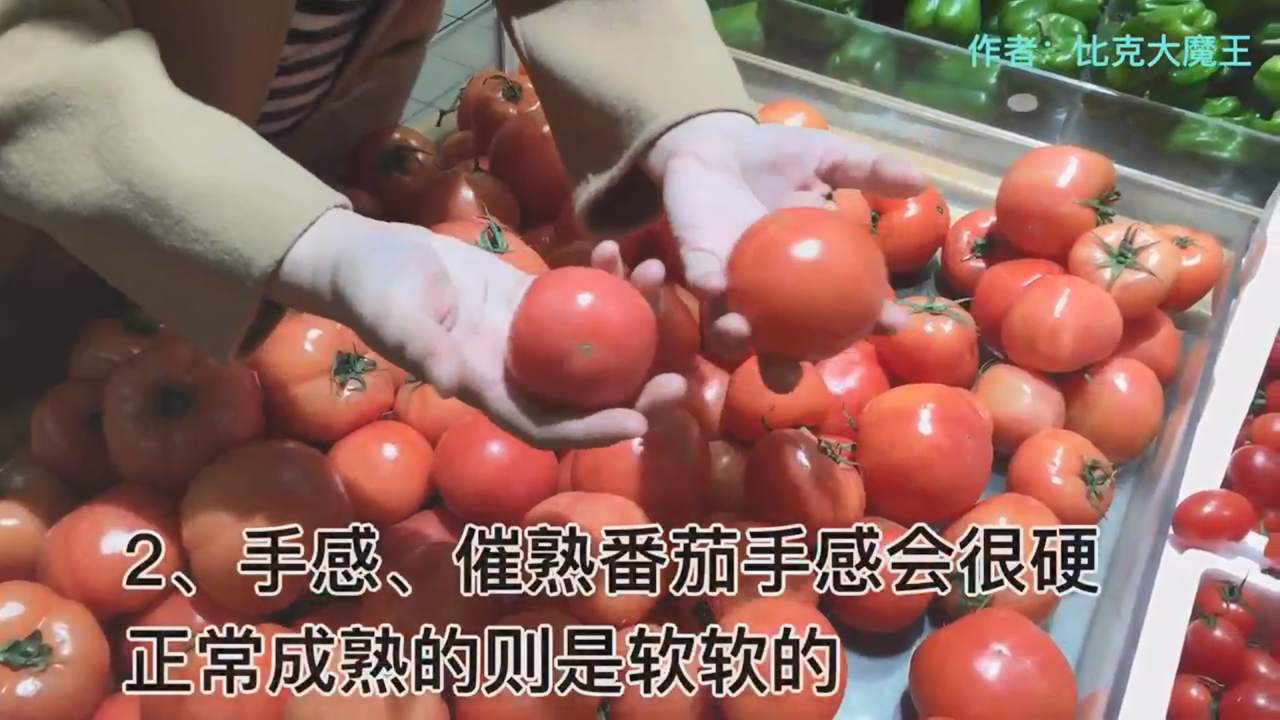 怎么挑选番茄