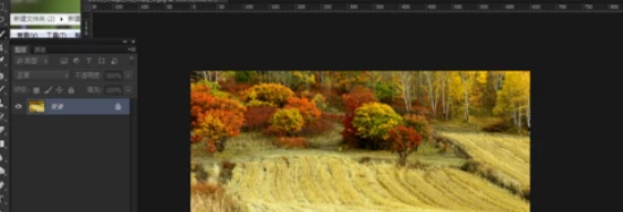 如何使用Photoshop调色？