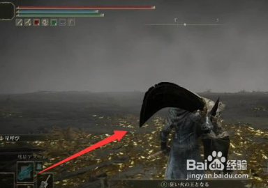 《艾尔登法环》癫火之王结局怎么触发