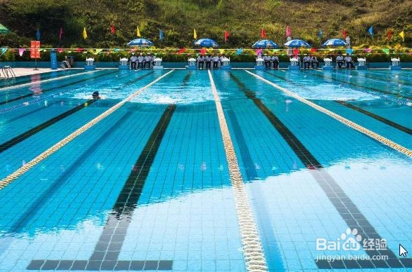 如何在半个月之内快速提高50米蛙泳和50米自由泳