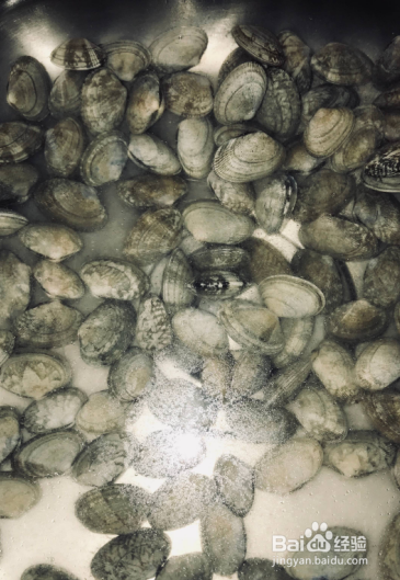 花甲粉丝鲜美又简单的做法