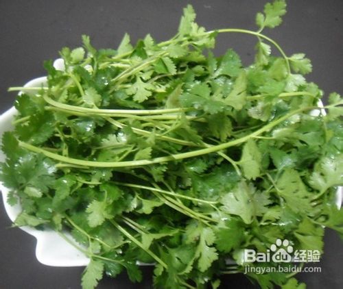 夏季养生哪些凉拌菜最健康