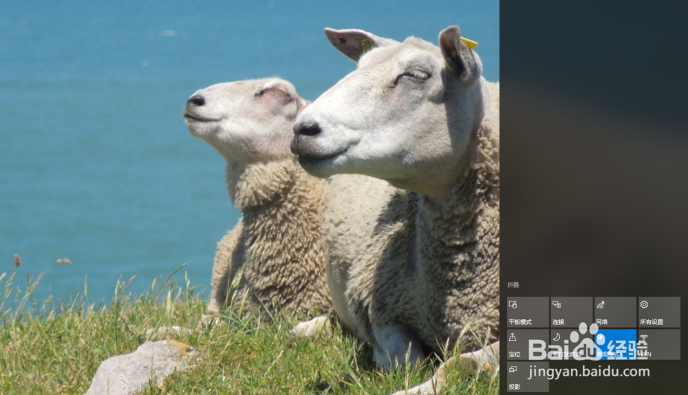 win10如何开启夜间模式功能