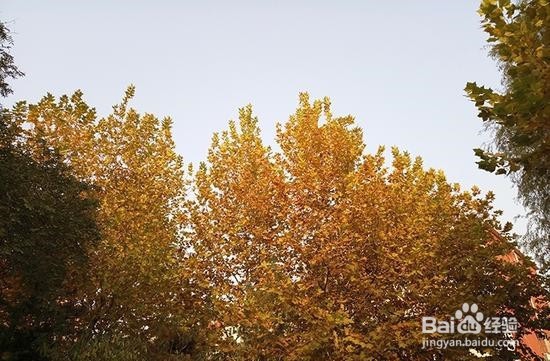 半年打磨时尚良品 魅族PRO 6S评测