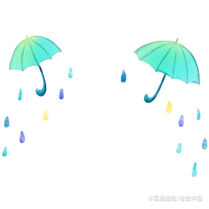 大红袍兰花怎么养