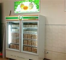 如何对禽蛋进行很好的储藏?