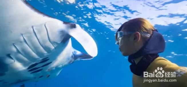 99%的人都不敢尝试的运动，最后一个胆小的别