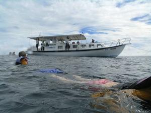 分享马尔代夫旅游卡尼岛景点介绍
