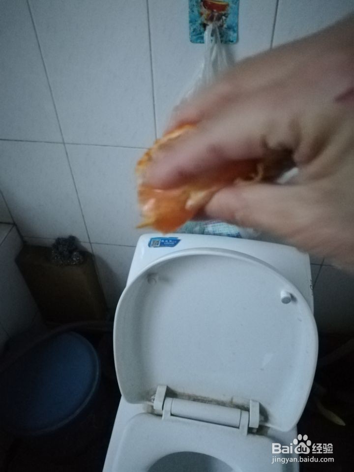 家中的橘子