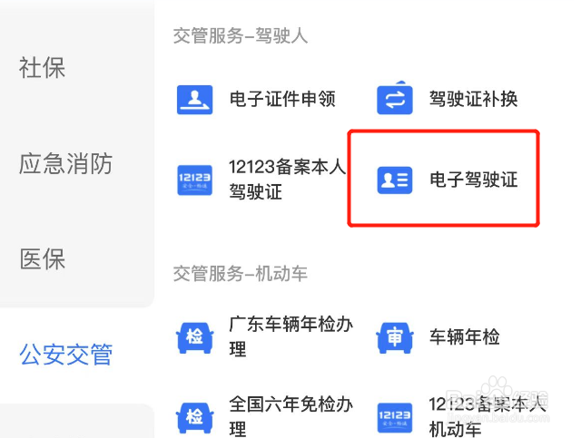 怎样申请电子驾驶证照