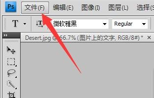 怎么在图片上加文字