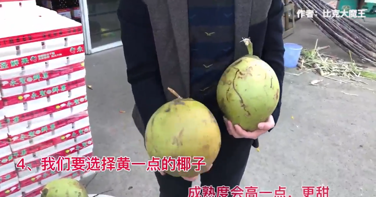 青椰子怎么挑选?