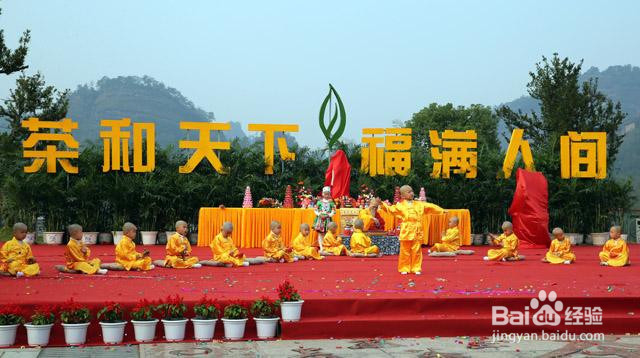 2017第十一届武夷山茶博会全攻略！