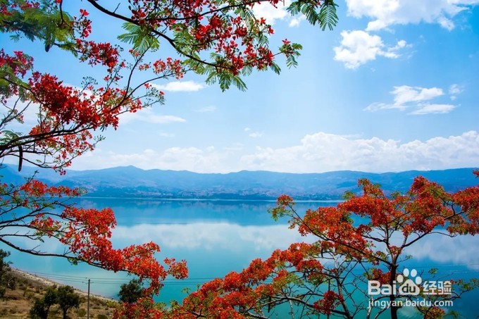 云南省九大高原湖泊