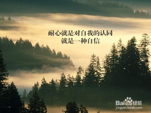 做SEO会碰到的问题