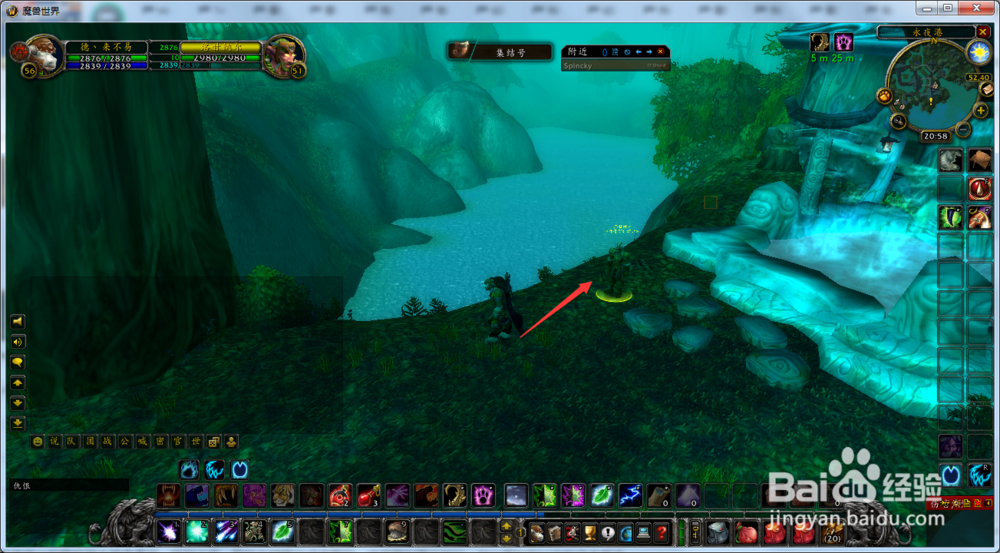 魔兽世界怀旧服德鲁伊如何学习9级治疗之触