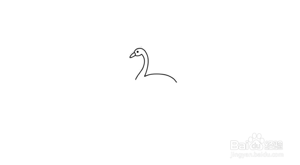 天鹅简笔画教程
