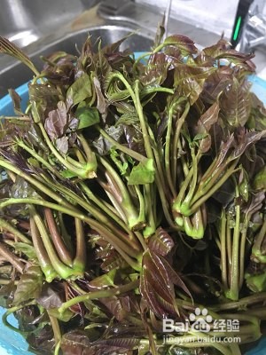 食补佳品有故事的腌香椿的做法