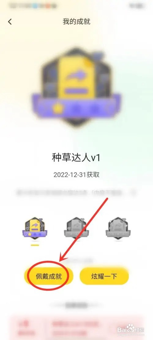 小芒成就勋章如何佩戴
