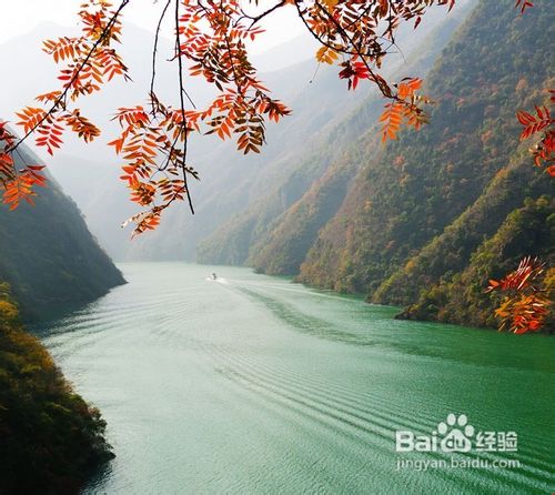 2012巫山红叶节往返五日游