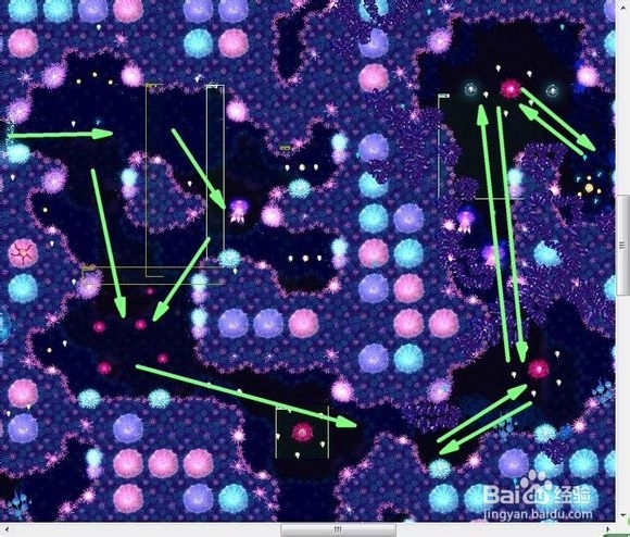 华丽荧光鱼攻略