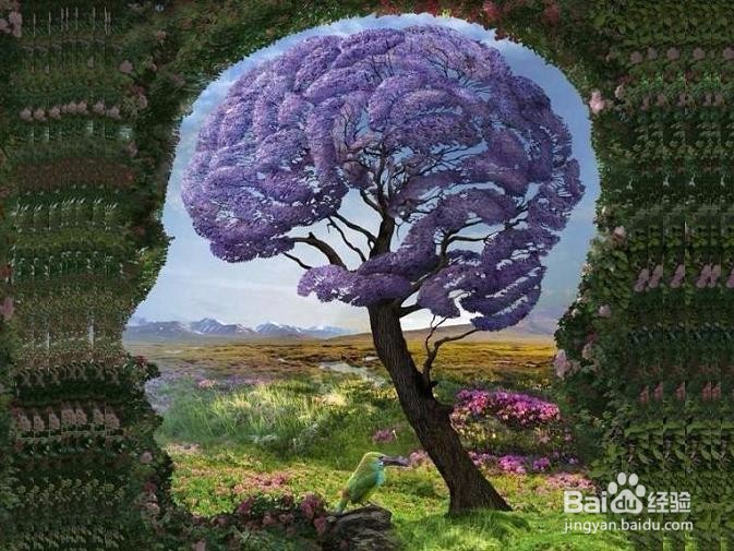 如何建立一套自己的思维框架？