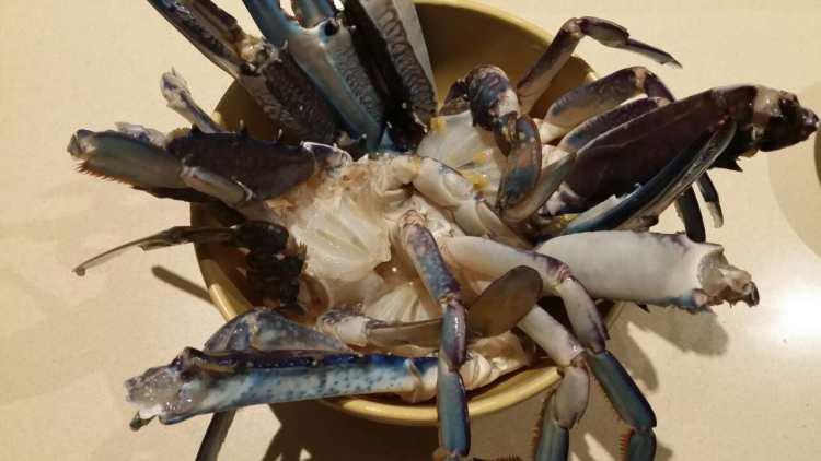 想吃姜葱梭子蟹？轻轻松松就能学会