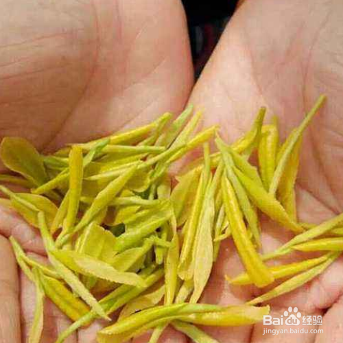黄金芽怎么泡