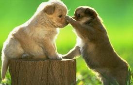 教你如何成为一个贴心男友