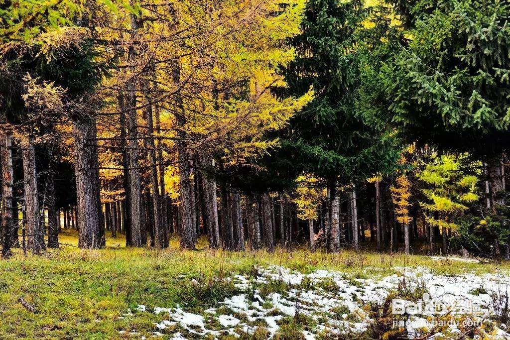塔城周边好玩的人气旅游景点推荐