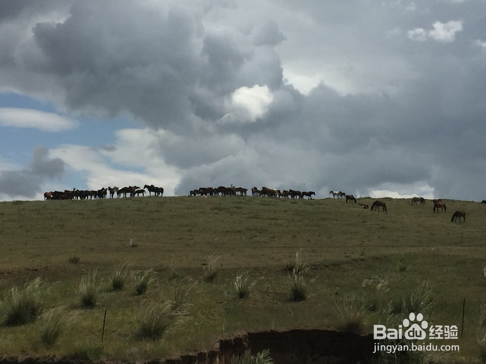 暑假内蒙七日游