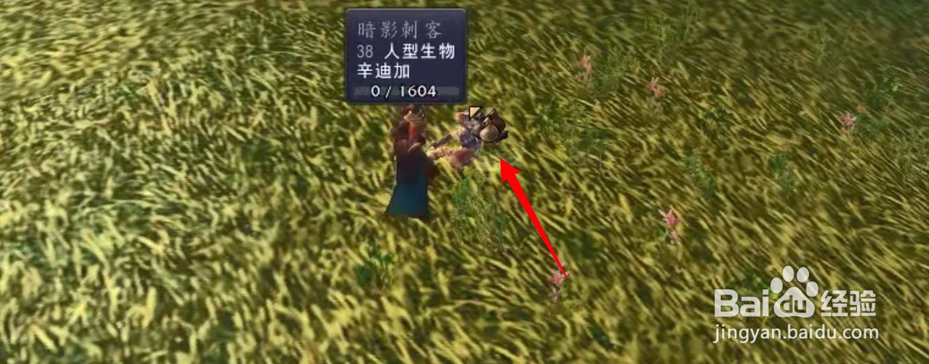 刺客的契约任务怎么接