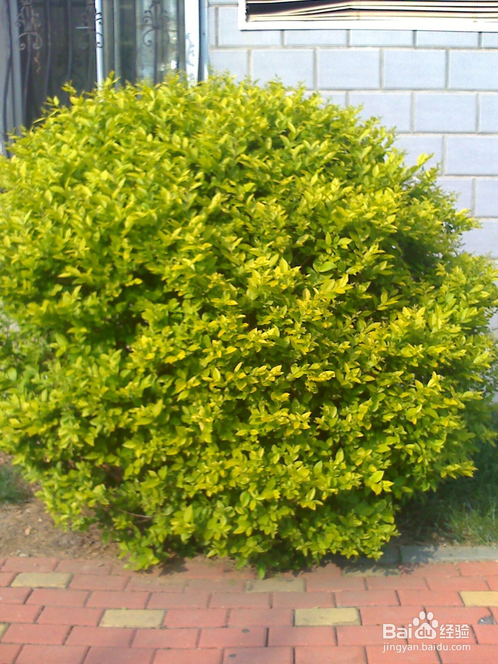 怎样孩子发挥想象力--走“平衡木”