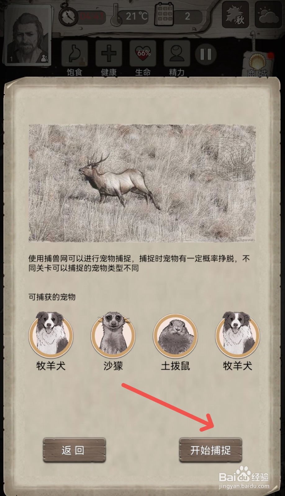 荒野日记怎么在游戏里捕捉宠物