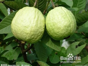 精子活力低怎么办