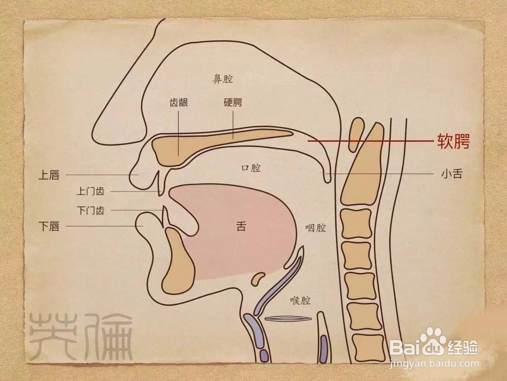 如何有效的发声使声音更加好听!