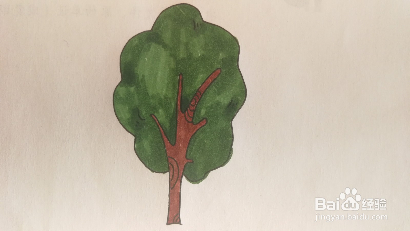 #经验分享官#大树简笔画