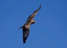 现场拍摄的秘籍——玩转单反