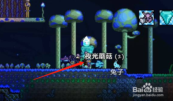 泰拉瑞亚夜光蘑菇孢子怎么获得