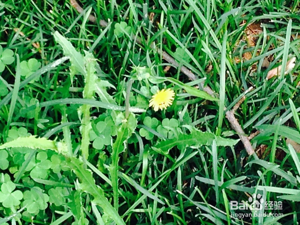 如果你的朋友虚荣心很强怎么办呢?